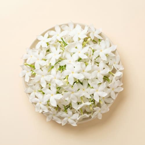 Sree Vaasavi Flowers
